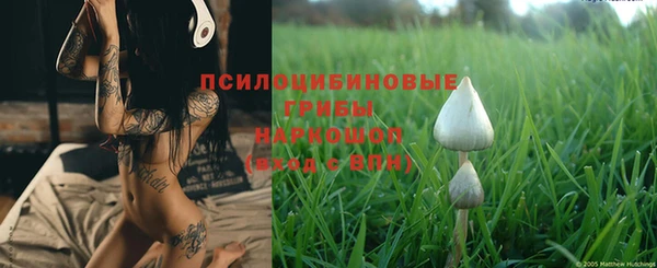 мдпв Володарск