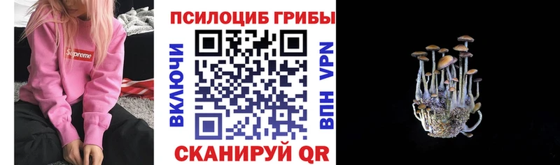 Галлюциногенные грибы MAGIC MUSHROOMS  Яхрома 